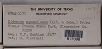 Image Associated With the Occurence